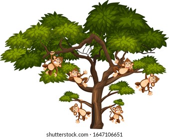 Big tree and monkeys on white background illustration