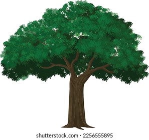 Big tree with multiple leafs and branches