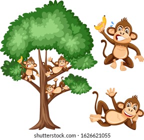 Big tree and naughty monkeys on white background illustration