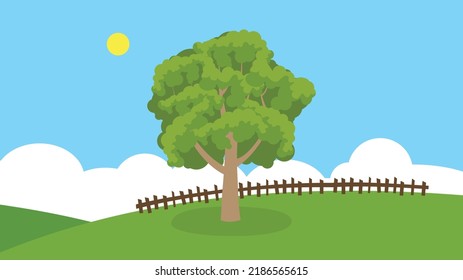 big tree near the fence