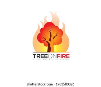 big tree on flaming fire