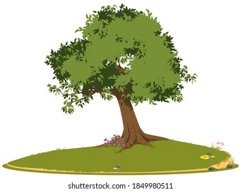 Big tree on flower meadow. Illustration for internet and mobile website. 