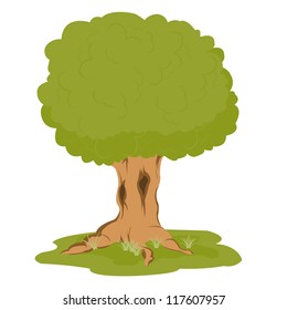 Big tree on glade on white background is insulated