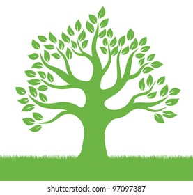 big tree on the grass
