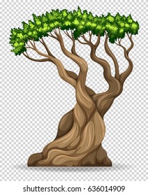 Big tree on transparent background illustration