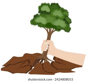 Big tree on a white background.