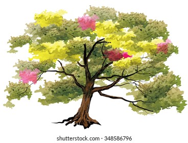 Big tree on white background,watercolor look with brush stroke ,vector illustration