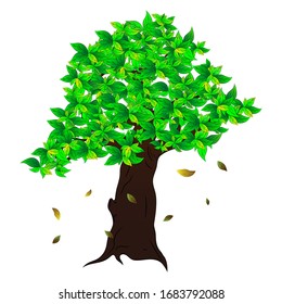 Big tree picture, vector illustration, white background
