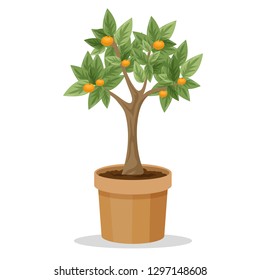Big tree plant with fruit in the pot. Idea of gardening and botany. Plant with green leaf and branch. Isolated vector illustration in cartoon style