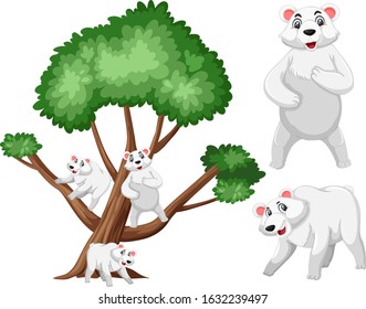 Big tree and polar bears on white background illustration