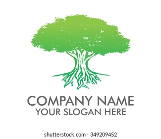 Big Tree Roots Logo Icon Vector