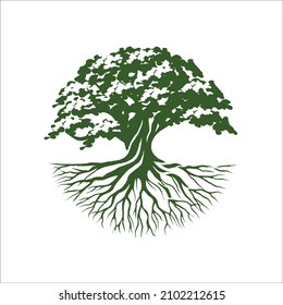 el logo de big tree roots es perfecto para empresas que quieren un icono de roble
