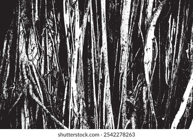 Big tree roots as wooden textured backdrop, illustration old wood black and white vector texture.
