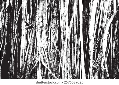 Big tree roots as wooden textured backdrop, illustration old wood black and white vector texture.
