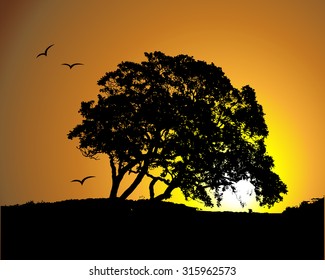 Big tree silhouette on sunset background. Vector illustration