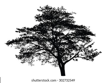 Big Tree Silhouette Vector Stock Vector (Royalty Free) 302732549 ...