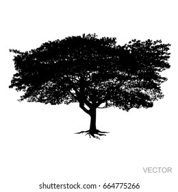 big tree silhouette Vector  isolated on white background
