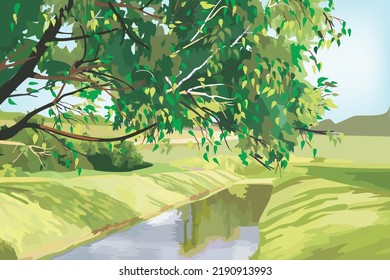 A big tree and a small cannel in the summer day