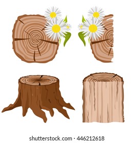 big tree stump with roots and some blades of grass