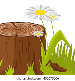 big tree stump with roots and some blades of grass

