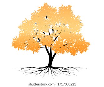 Big tree that is dry With fallen leaves in the autumn season.