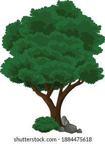 Big Tree Vektorkunst und Illustration