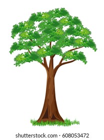 Big tree vector design