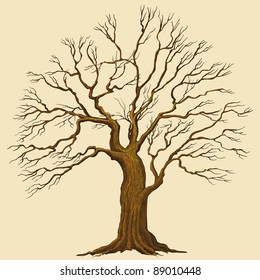 Big tree vector illustration