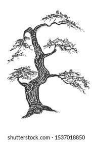 Big tree vector illustration. Sketch pen design concept. Paper hand drawn illustration art.