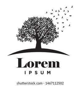 big tree and wild birds, logo template 