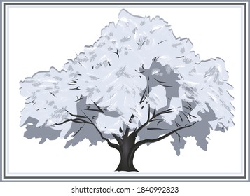 big tree winter covered with snow on a white background