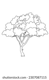 Libro de colorear árboles grandes. Hermoso árbol de dibujos animados vectoriales con página de coloreado de ilustraciones vectoriales hoja