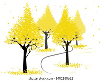 Big trees that is dry With fallen leaves in the autumn season.