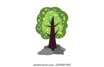 Big trees that provide shade in the garden.