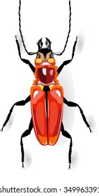 Big tropical bug illustration isolated on white