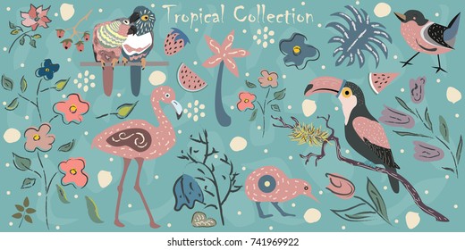 Big Tropical Collection with exotic birds. Flamingo, Parrots, toucan, Australian bird kiwi, small bird plus  tropical plants and flowers. Hand Drawn Elements with brushstroke. Vector Illustration.