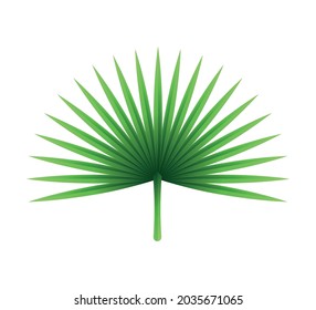 Big tropical green paper leaf on white background realistic vector illustration
