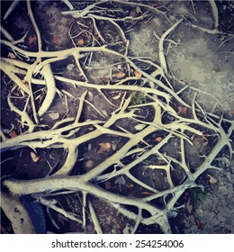 Big tropical tree roots. Vector background