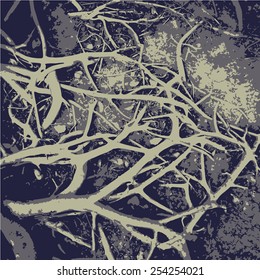 Big tropical tree roots. Vector background