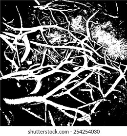 Big tropical tree roots. Vector  black and white background