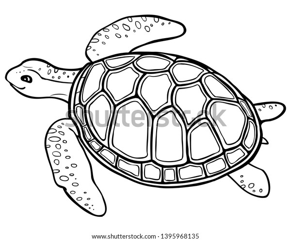 big turtle contour drawing coloring page stock vector