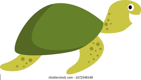 Big turtle, illustration, vector on white background.