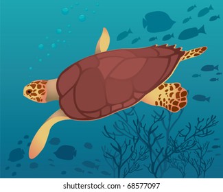 Big turtle in sea