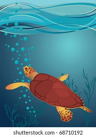 Big turtle in sea