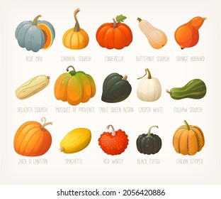 Gran variedad de calabazas con nombres. Calabazas famosas y calabazas. Calabazas para decoraciones de halloween. Imágenes prediseñadas vectoriales aisladas