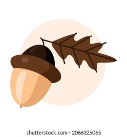 Big vector acorn with leaf illustration on white background.