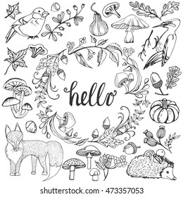 Big vector autumn set with  leaves, mushrooms, animals, birds, natural icons. Forest design elements for greeting card.