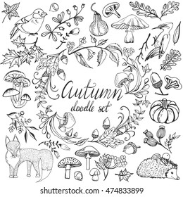 Big vector autumn set with  leaves, mushrooms, animals, birds, natural icons. Forest design elements for greeting card. Natural collection in doodle style.