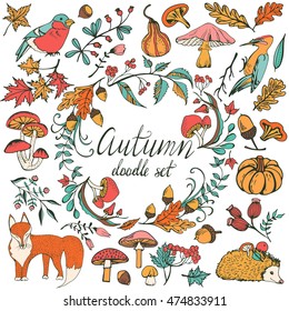 Big vector autumn set with  leaves, mushrooms, animals, birds, natural icons. Forest design elements for greeting card. Natural collection in doodle style.