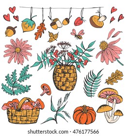 Big vector autumn set with  leaves, mushrooms, natural icons. Forest design elements for greeting card.